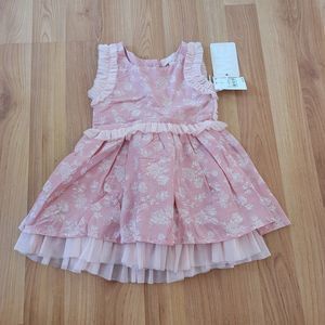 Mila and Emma Mauve Pink Floral Tulle Ruffle Dress Size 12M